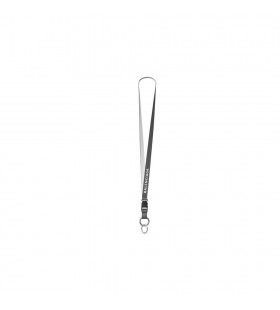 Mannen Balenciaga Explorer Lanyard Sleutelbossen Grijs